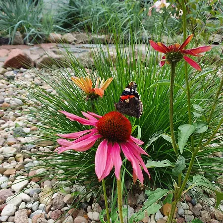 Апартаменты 